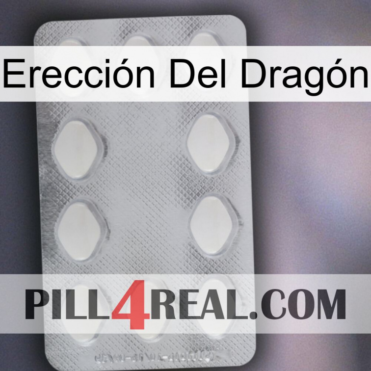 Erección Del Dragón 16